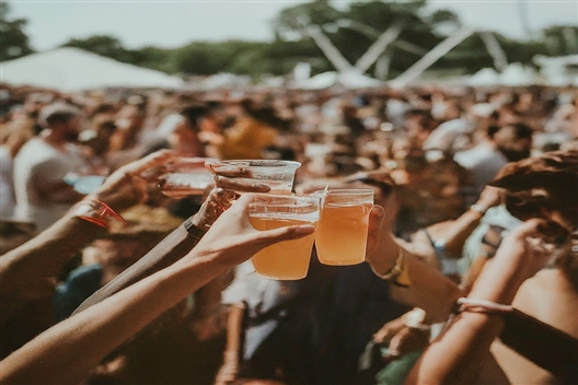 BEV FEST